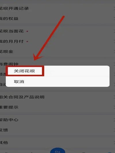 如何关闭携程的拿去花服务